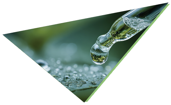 Water drop falling from a dropper onto a dew-covered green leaf