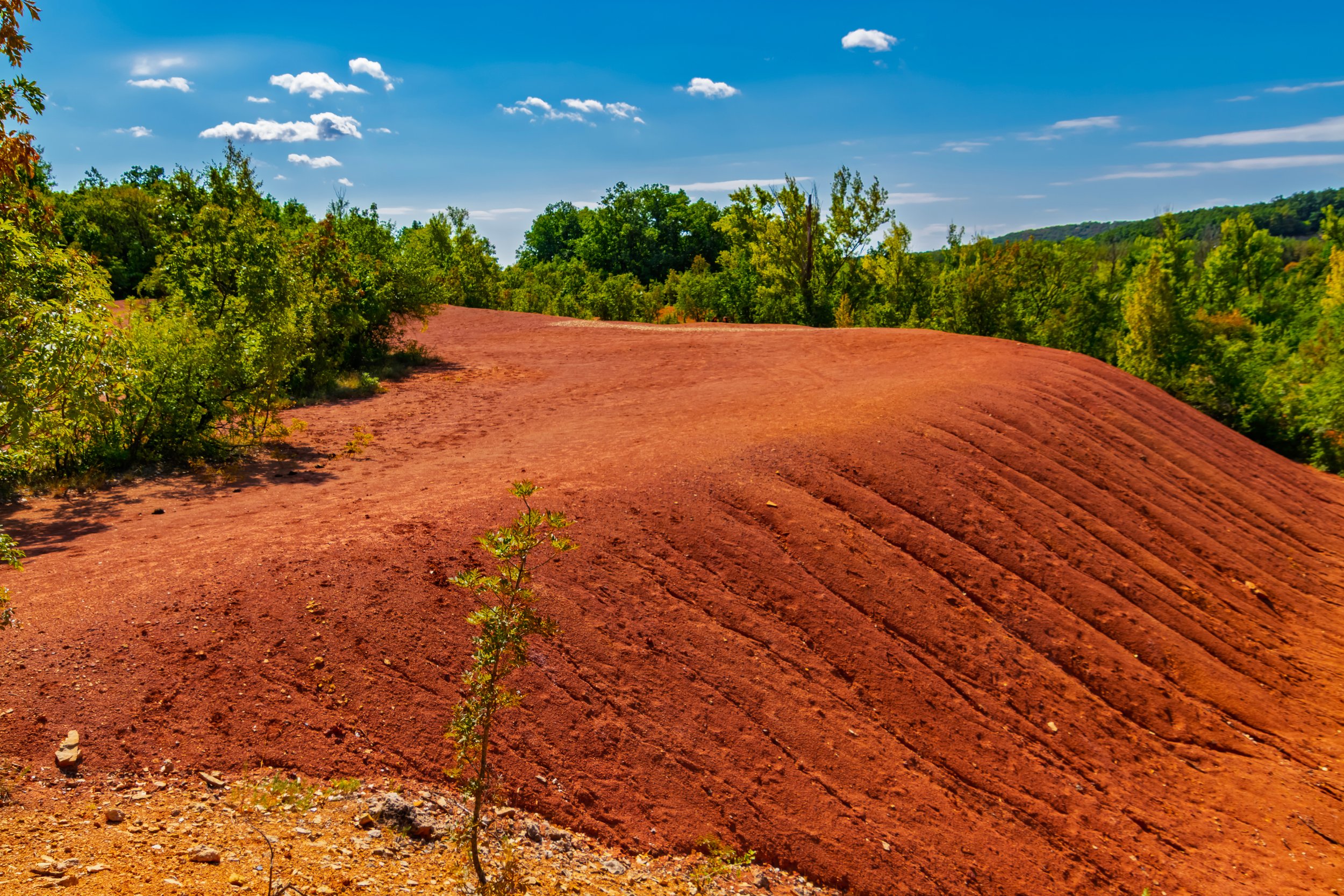 Red bauxite residue mound surrounded by green forest